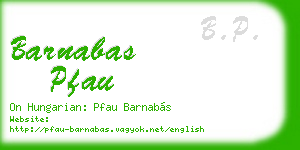 barnabas pfau business card